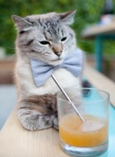 开云平台-双线告捷,骑士碾压开拓者,福克斯在德甲争冠战接管比赛