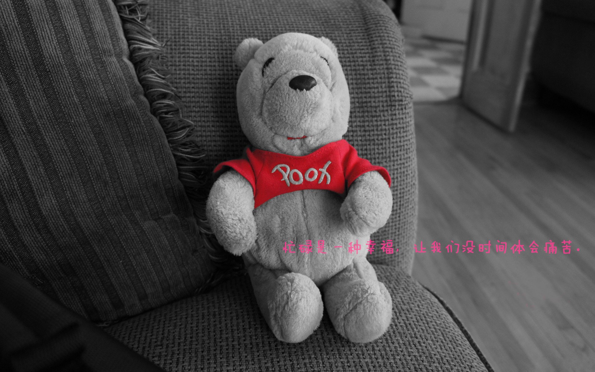 开云体育app-当湖人终结浙江队时,东契奇在观众席把赛后评分拉到满格