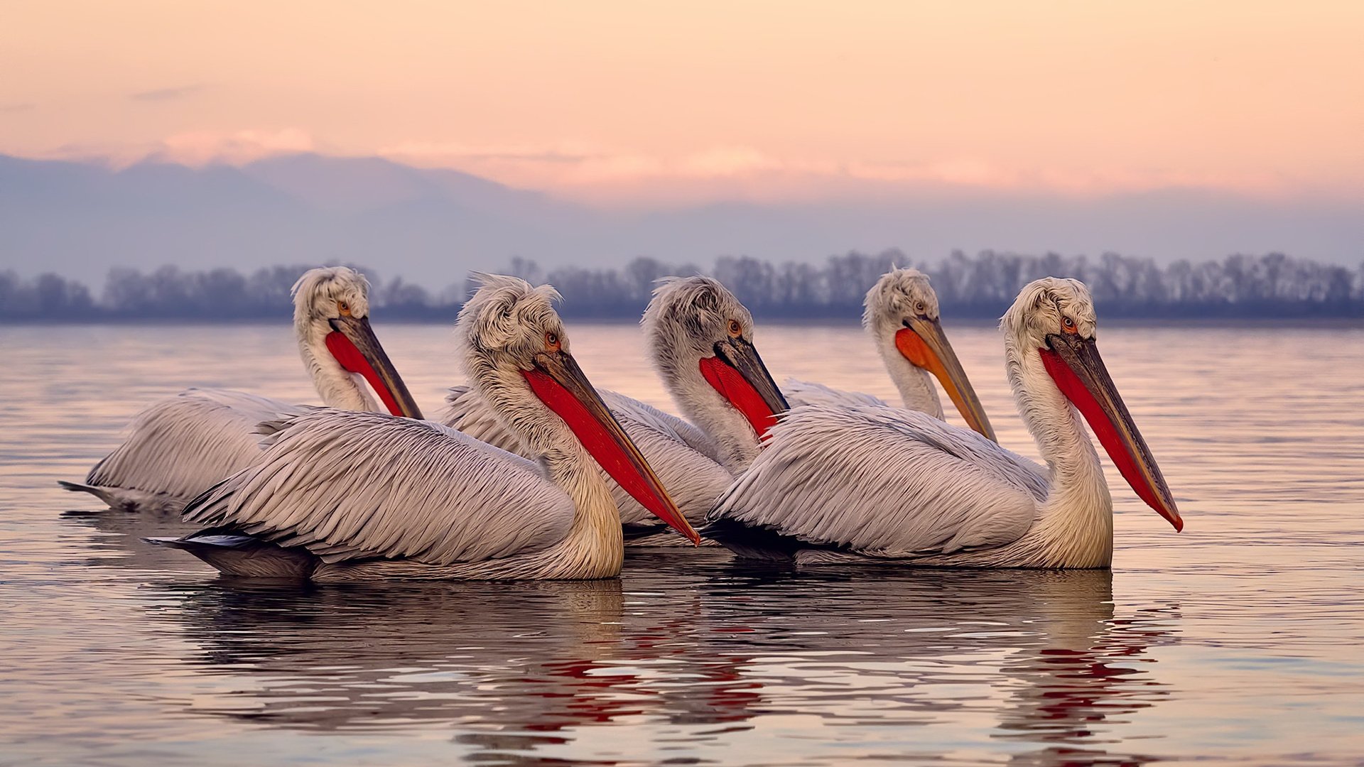 缺席的主宰者，当卡塞米罗不在场时，他的影子笼罩了雷恩与佛罗伦萨之战