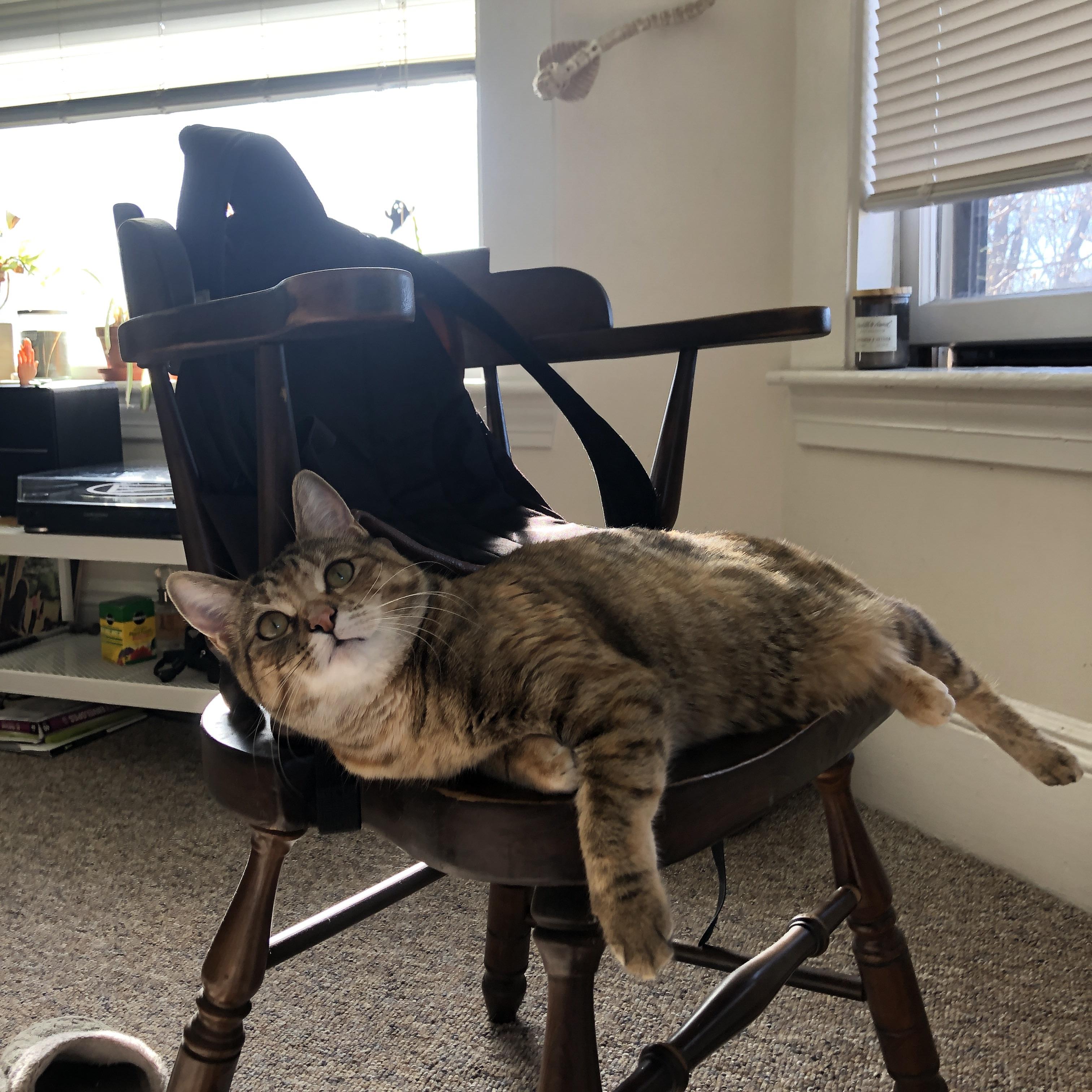 幽灵射手，当马丁内利在德克之战中无处不在