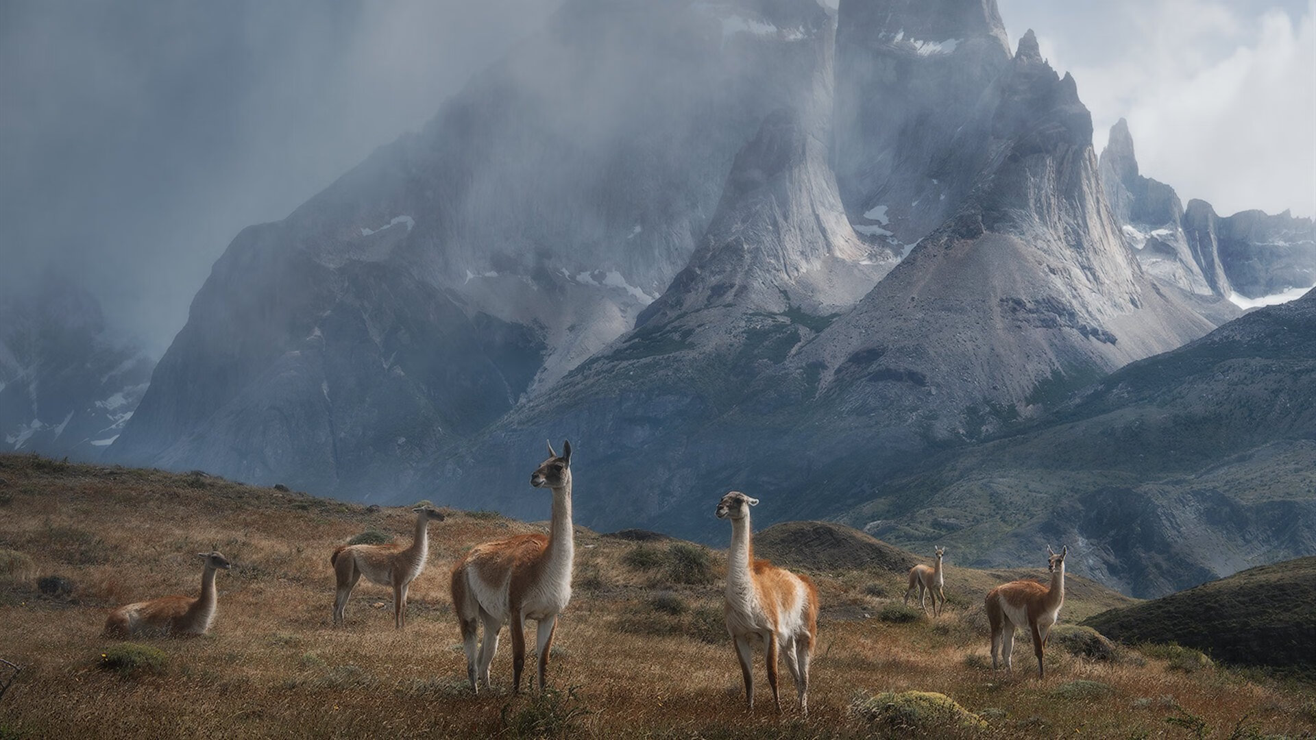 开云体育登录-末节19分导演逆转!西亚卡姆打出生涯代表作,猛龙客场惊险带走活塞