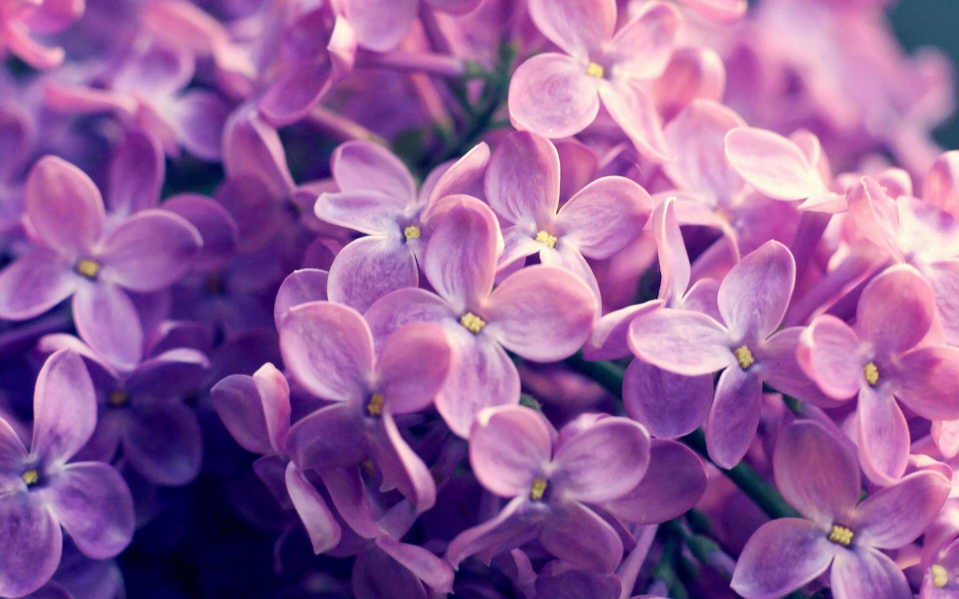 开云sport-黑马逆袭！老鹰斩杀绿衫军，哈登临危救主成胜负手