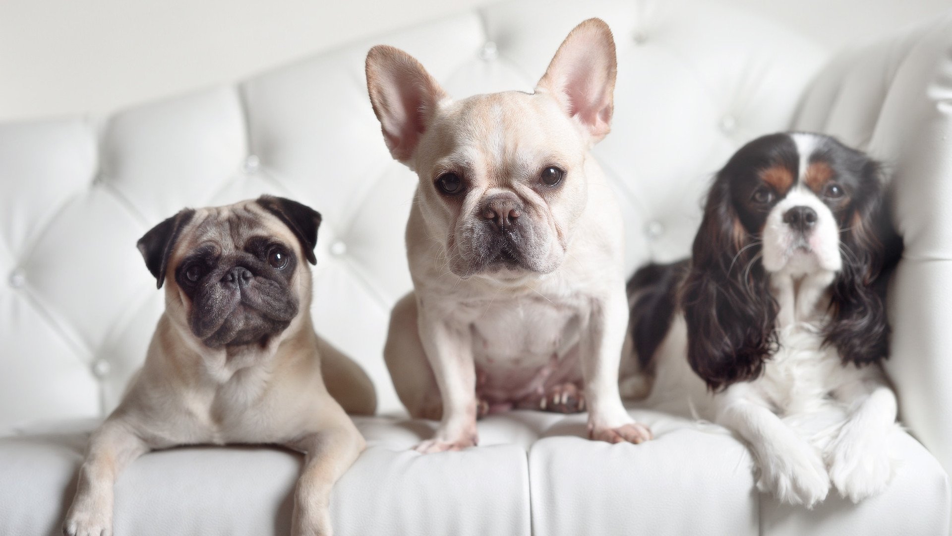 静水流深与白浪搏击，苏格兰的沉稳与帕尔默的狂飙，胜利的双面镜像