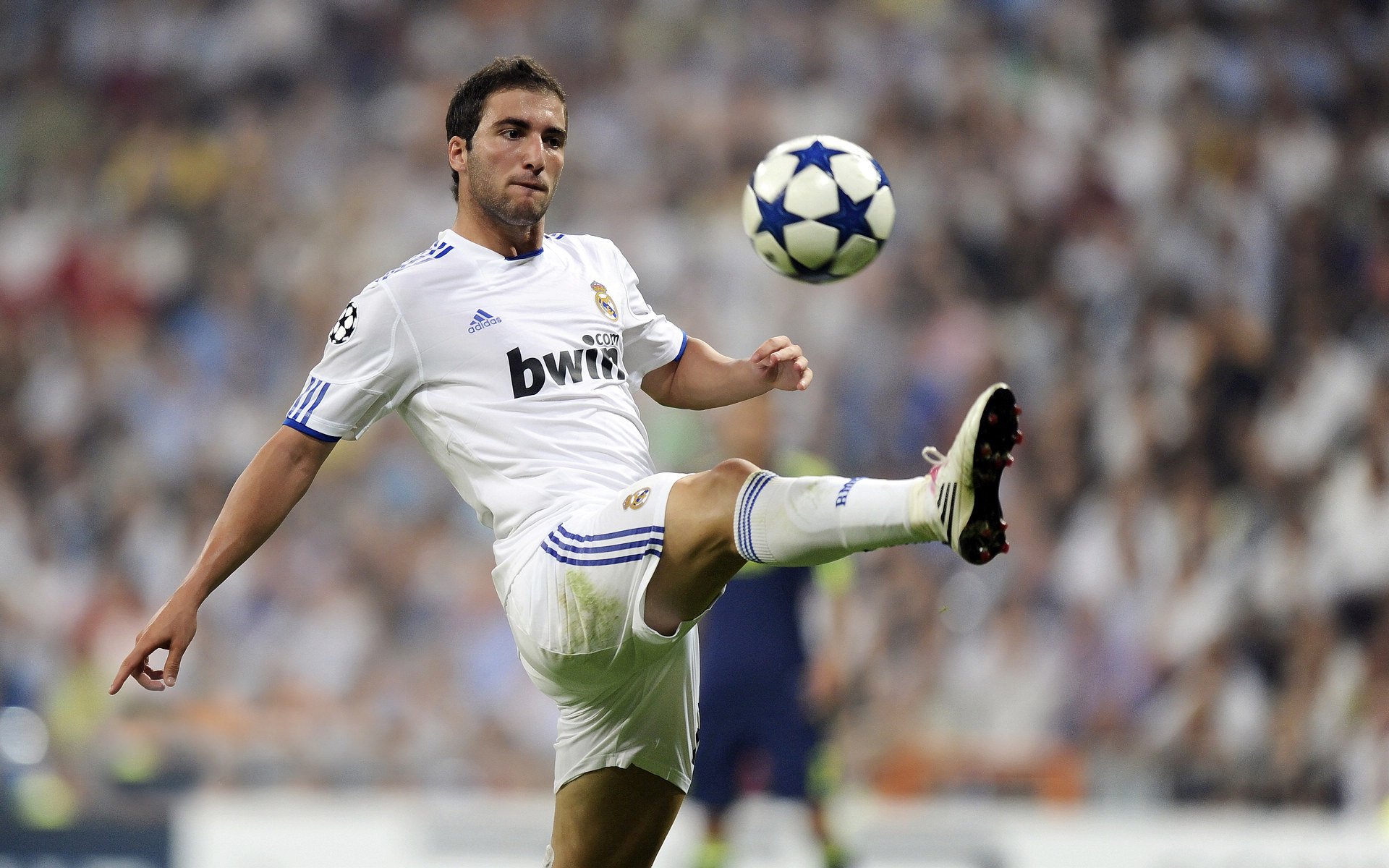 开云-双生火焰，从多哈绝杀到NBA生死战，厄德高与卡塔尔共证的终极体育剧本