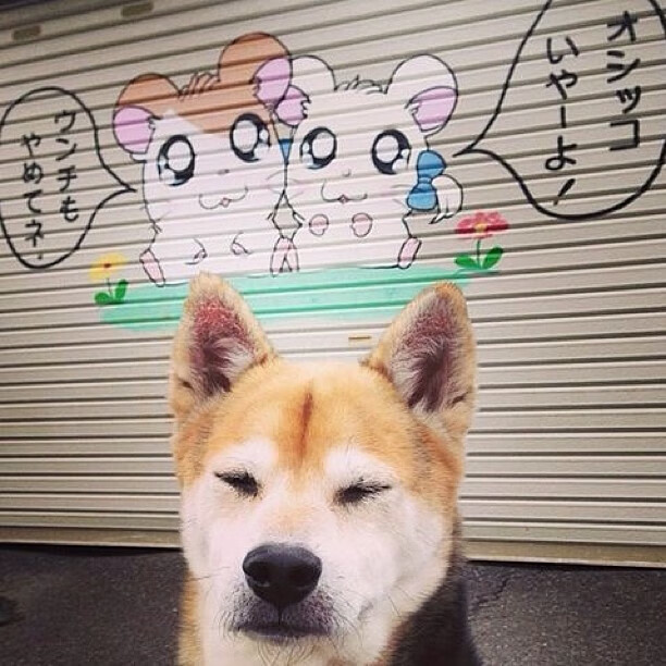 体育的戏剧性，阶层流动与心脏移位