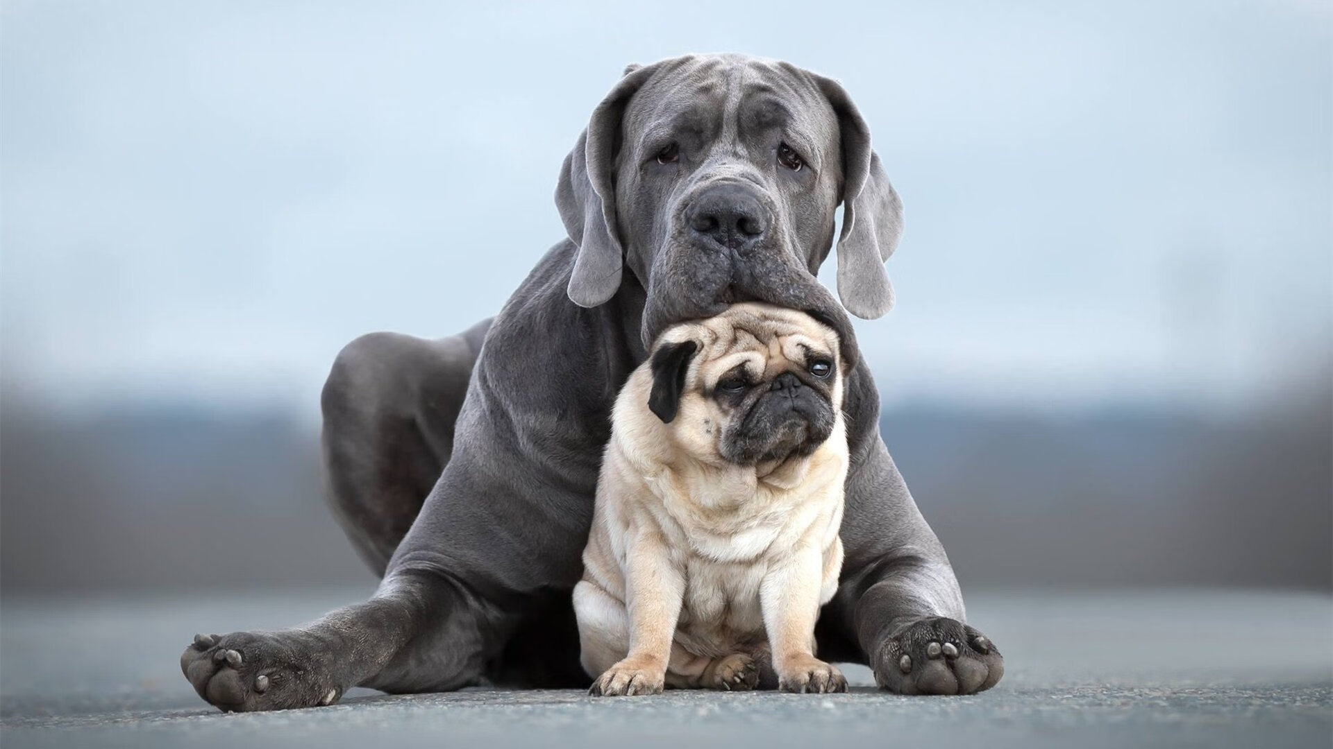 开云平台-奥运周期关键战焦点，爵士狂胜火箭，球员状态成奥运选拔风向标