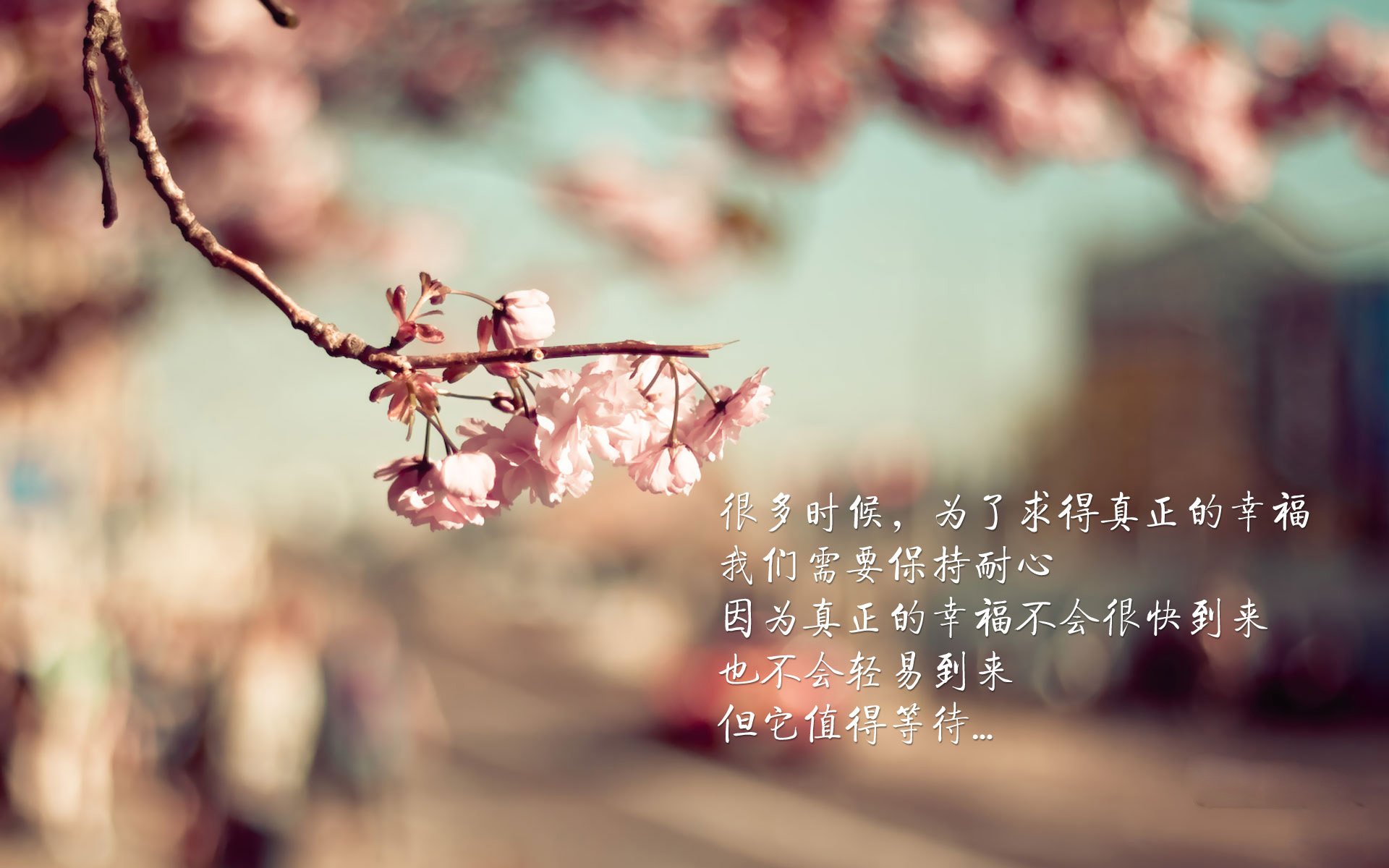 青绿色绞索，当爱尔兰用沉默的锁链将橙色风暴拖入战术真空