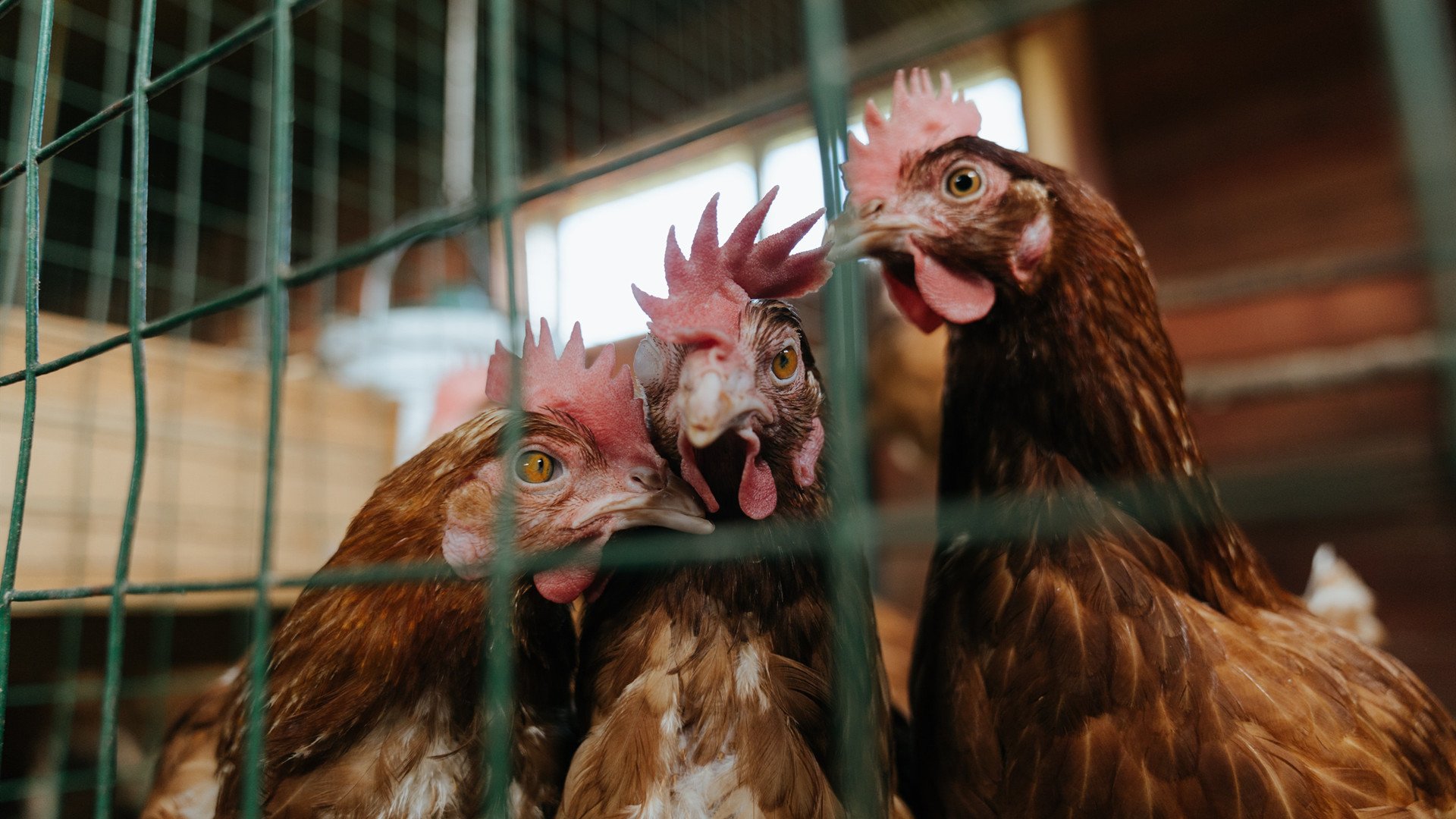 开云体育官网-扩展思维后拟定的标题