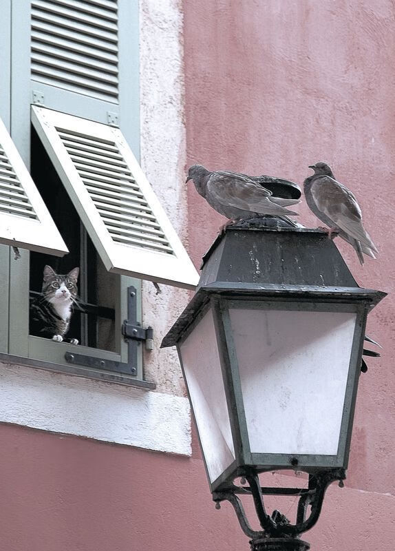 地缘博弈中的意外变奏，当内马尔成为破局关键先生