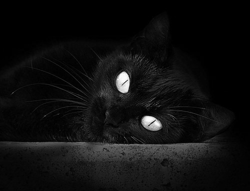 世界的钢铁与东方的墙壁，当终结艺术照进篮球史诗