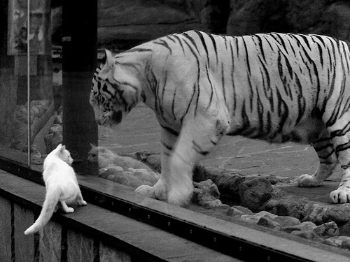 终极闪耀，穆勒解锁英格兰一波带走加纳的胜利代码