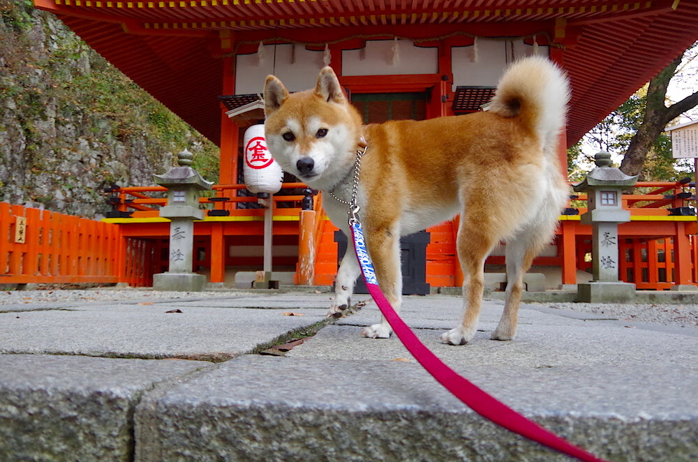 铁血蓝黑突围圣西罗，托马斯·穆勒定义关键战