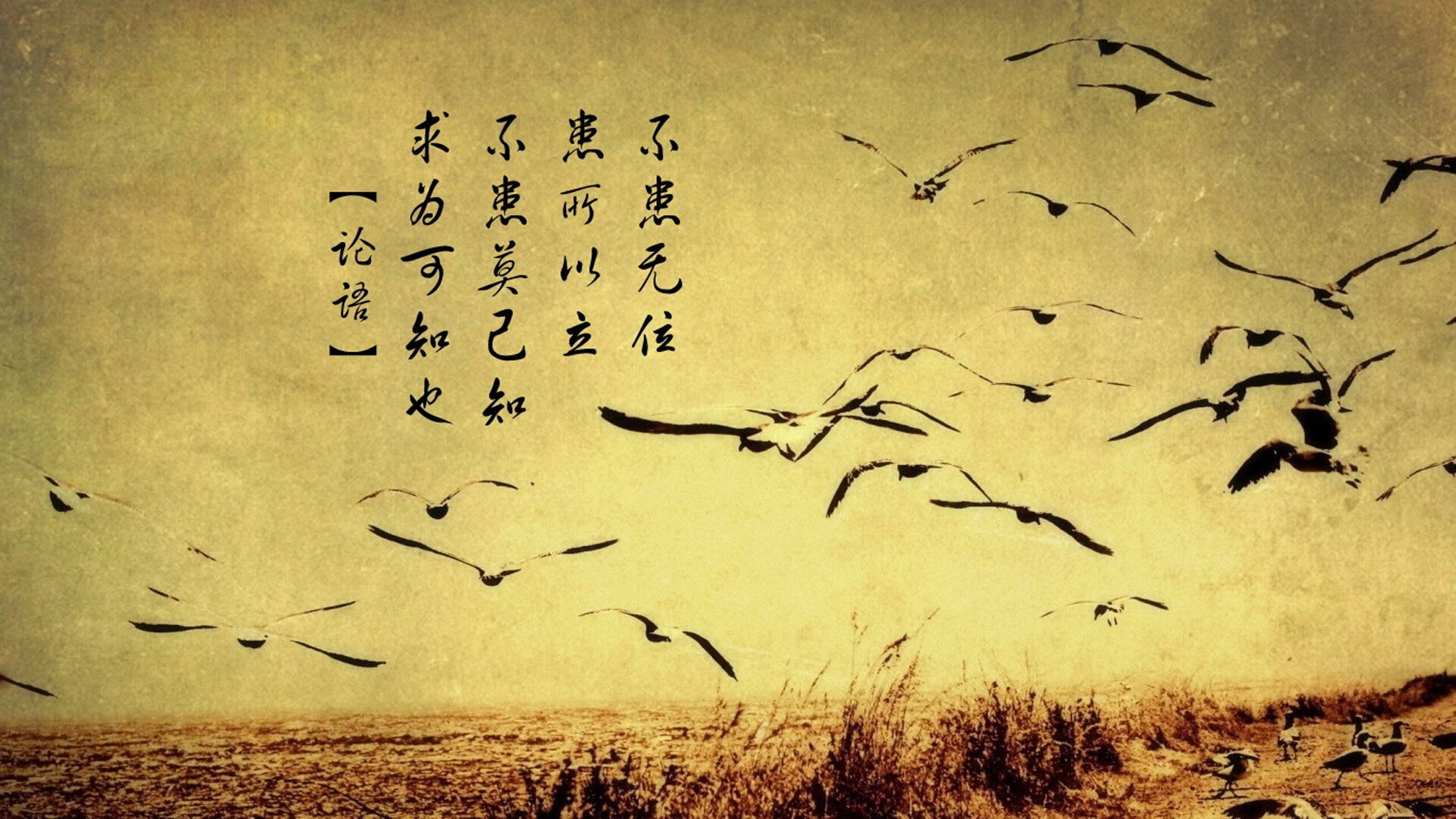 王者之师的淬火之路,2026世界杯G组英西大战,拉什福德一剑封喉,铁血防线铸就胜利基石