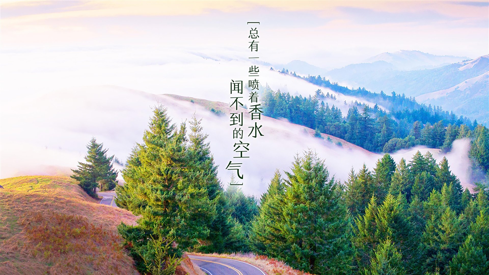 开云体育-中亚铁骑踏破东欧屏障，乌兹别克斯坦的2026世界杯奇迹之夜