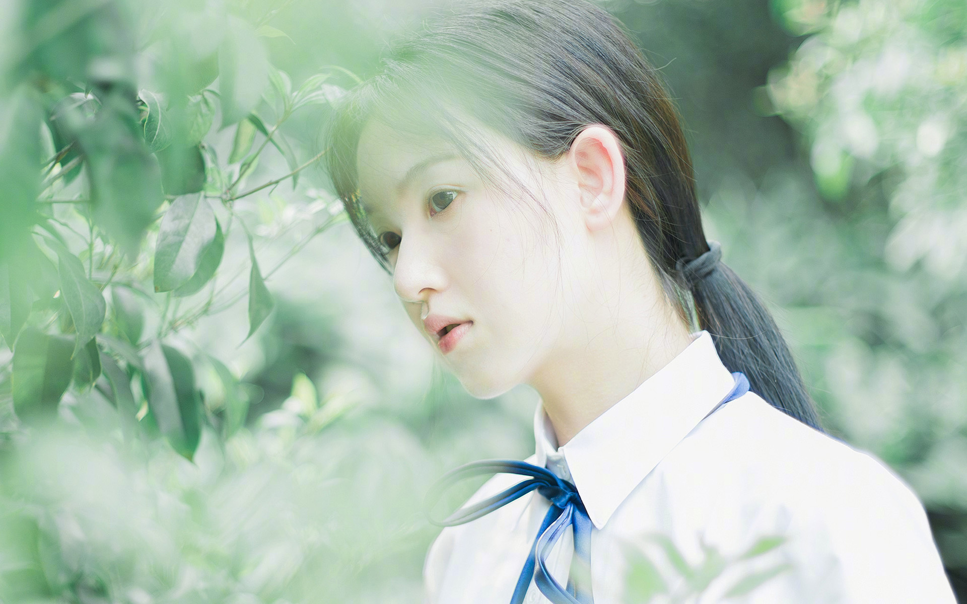 当大象踏碎郁金香，2026世界杯C组唯一性之战，吉鲁用帽子戏法定义宿命
