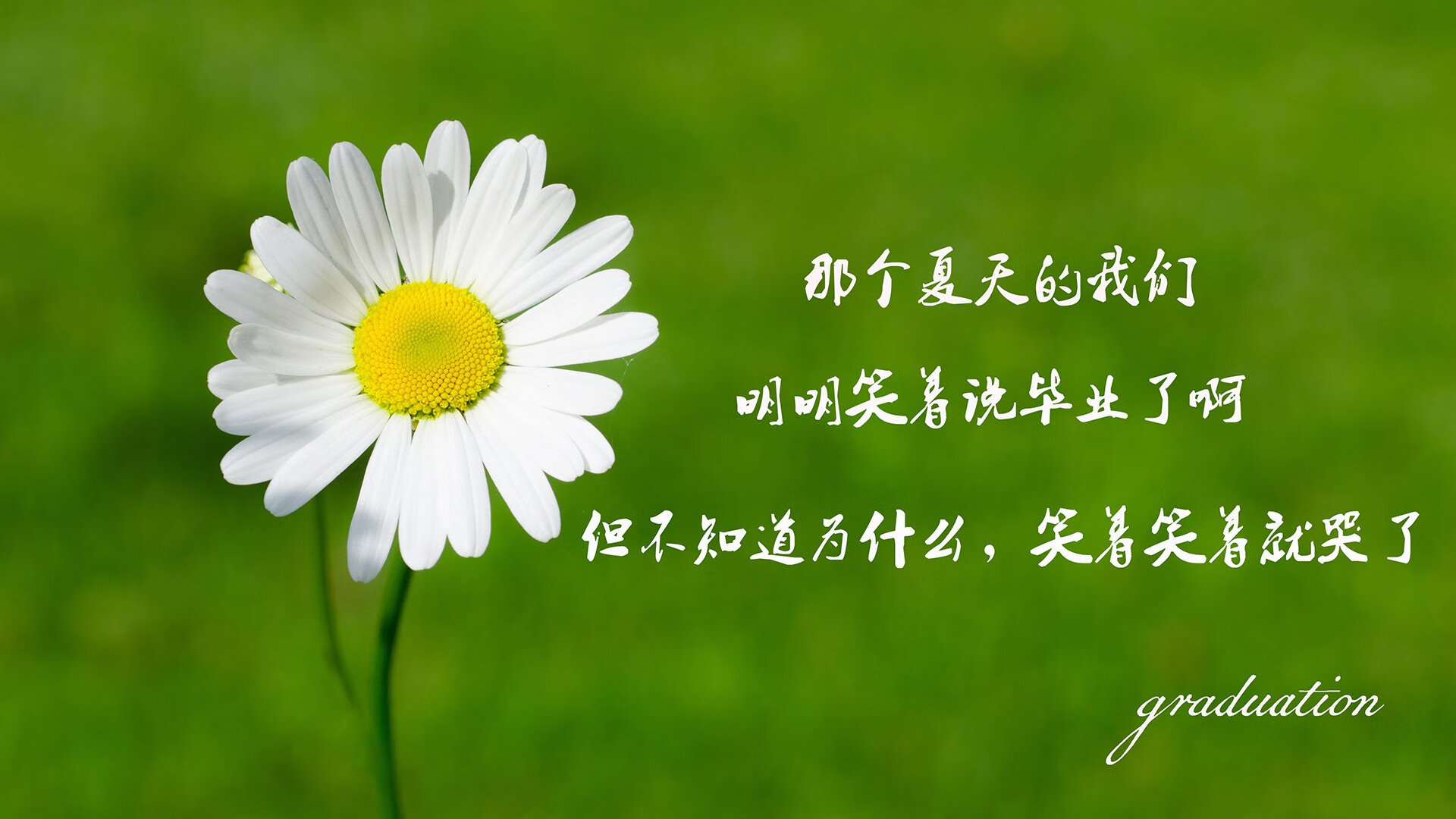 开云官网-突尼斯沙漠风暴席卷绿茵，H组神话，费利克斯的最后一舞与门神不朽
